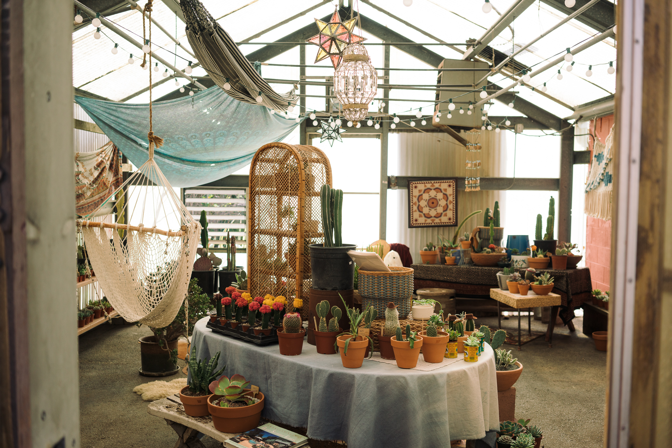 The Cub House shares the building with Prickley Pals, a succulent garden store, owned by Talkington’s girlfriend, Carla Alcibar, a former retail merchandiser for Anthropologie and Free People. Alcibar designed The Cub House’s layout and does the shop's merchandising.