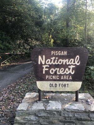 Old Fort is near Pisgah National Forest, known for its mountain biking. 