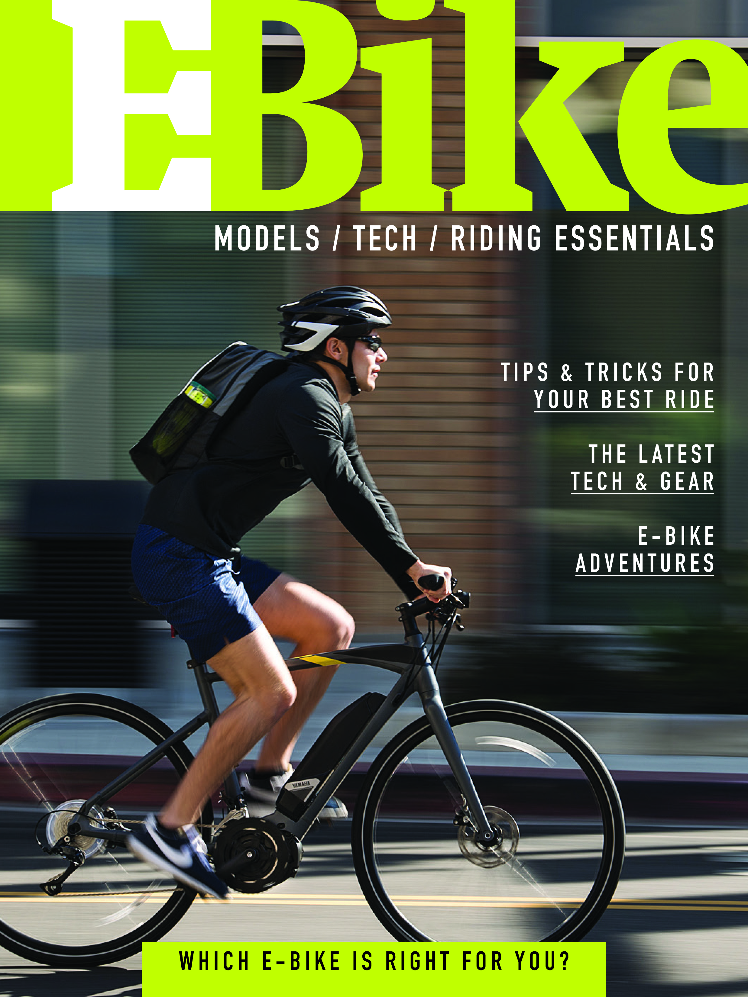 VeloPress publishes EBike A Guide to EBike Models, Technology