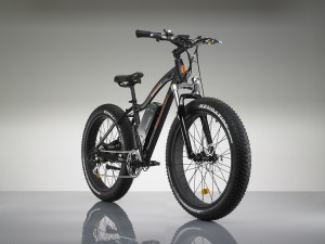 rad power bikes owners group