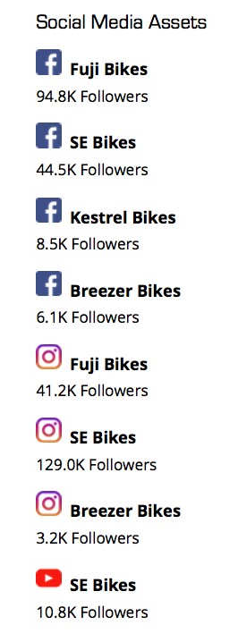 ASE's social media assets. Source: Hilco Streambank.