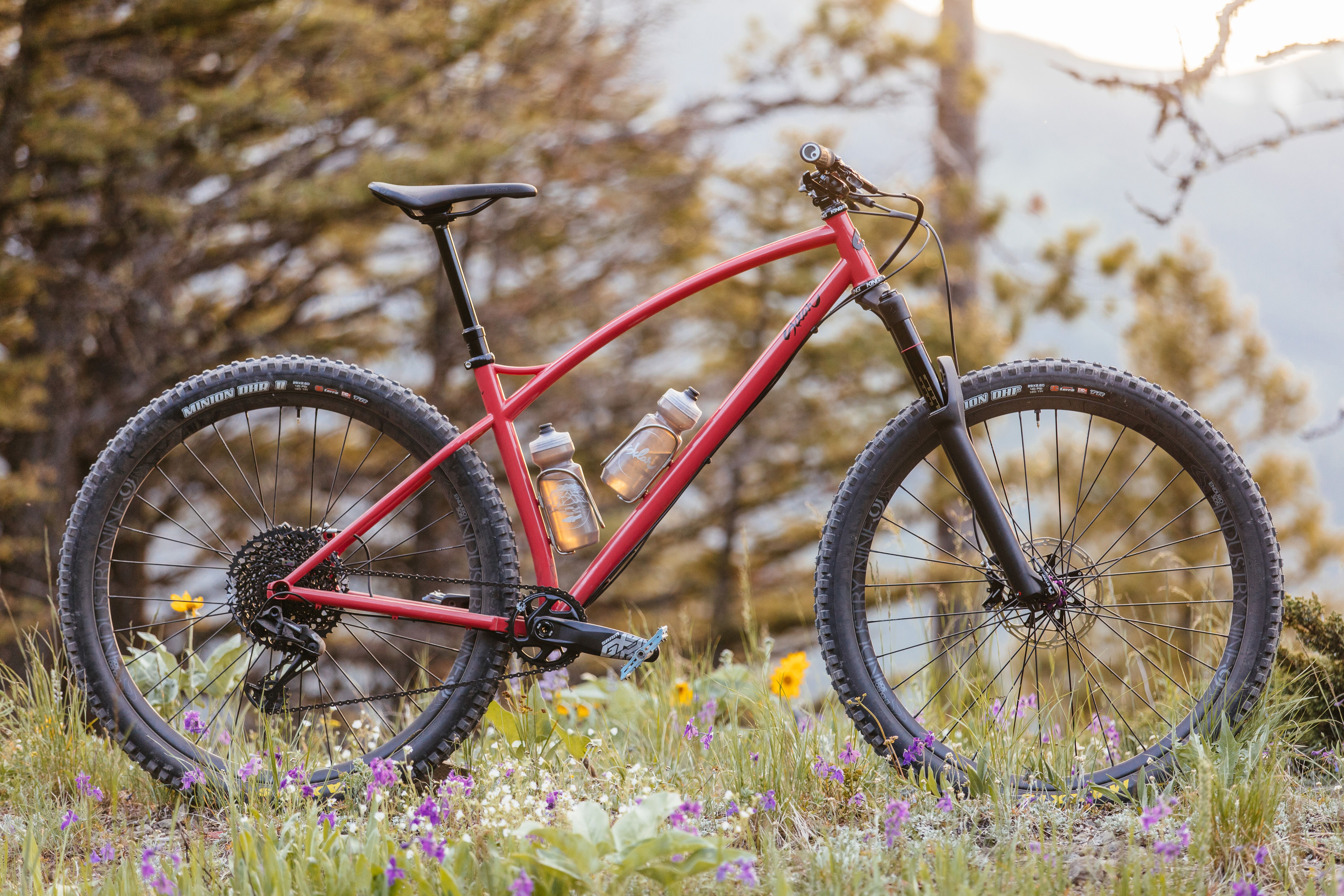 custom steel hardtail