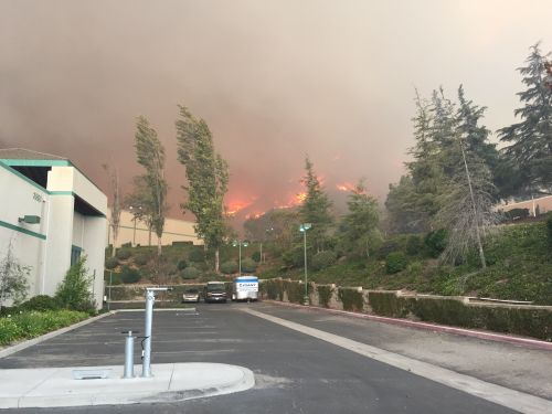 Photo by An Le from the Giant Bicycles parking lot.