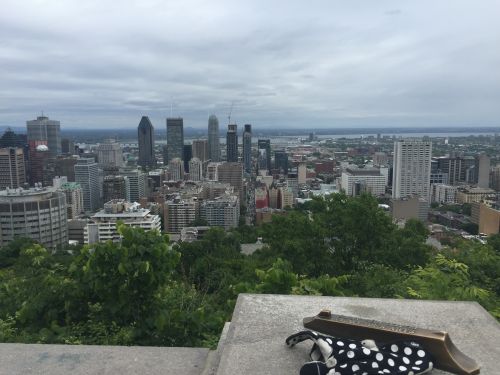 The view of Montréal's downtown from atop Mt. Royal, after which the city is named. 