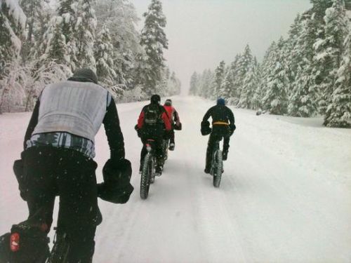 Fat bikers hit the trail. Photo courtesy of the Fat Bike Winter Summit and Festival