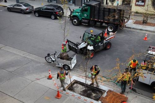 Madison city workers make use of an e-cargo bike in the pilot.