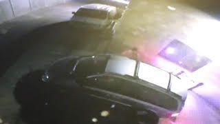 A neighbor's surveillance camera showed the thieves' vehicles.