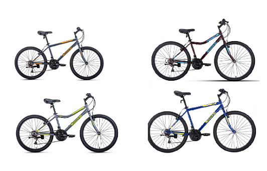 Academy bikes online 29 inch