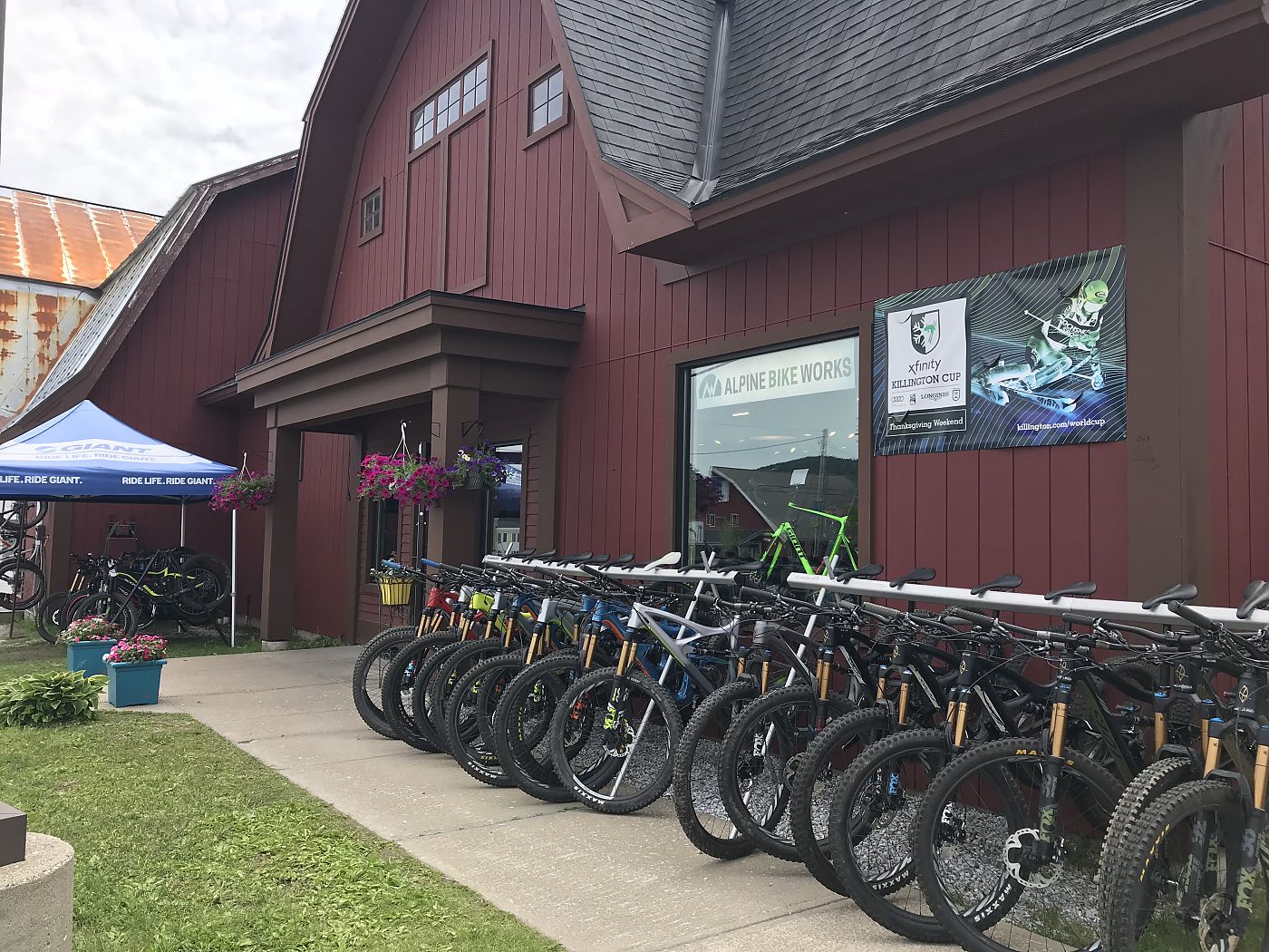 alpine bike shop