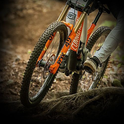 Fox bicycle 2025