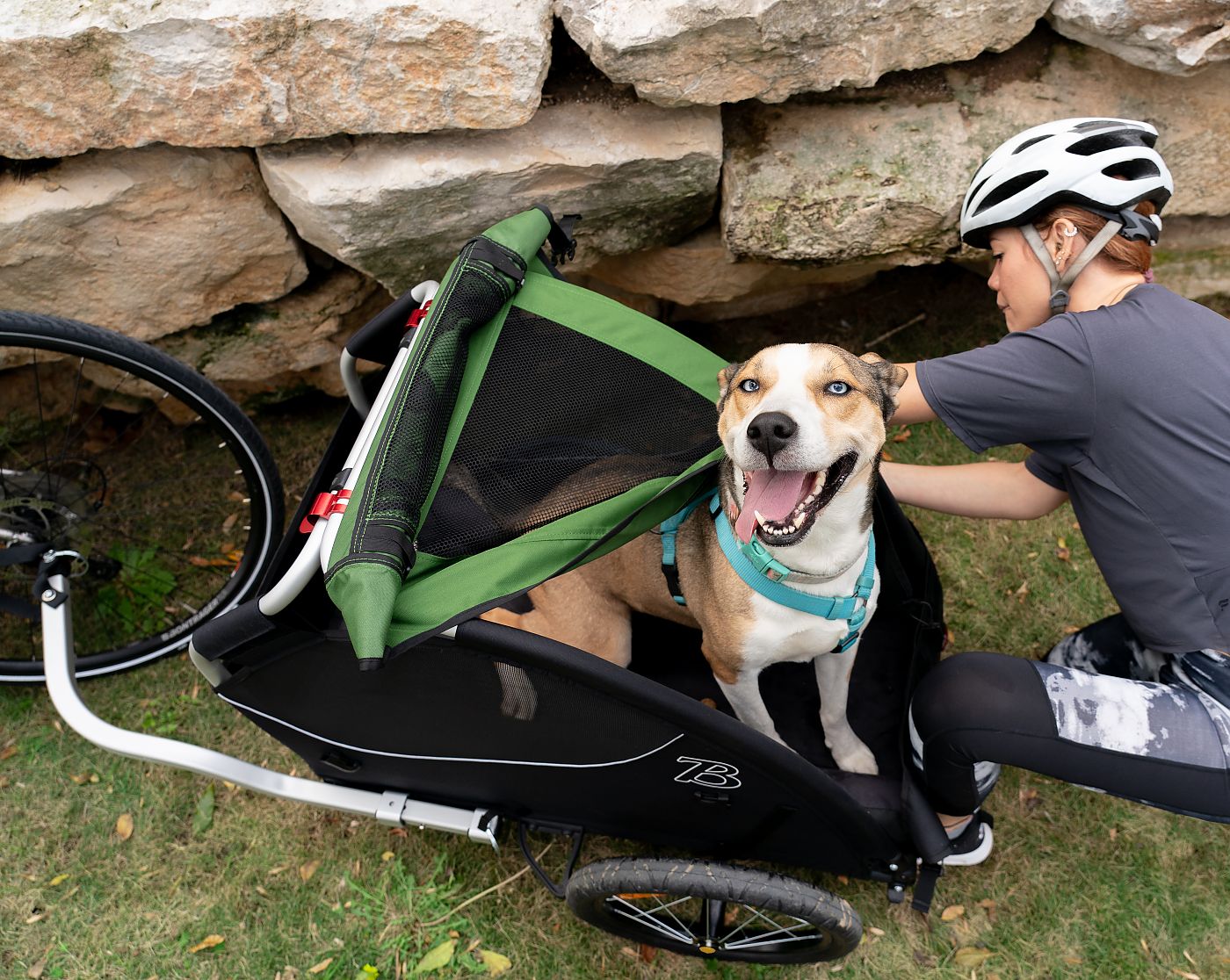 Burley new line of pet trailers accessories | Bicycle Retailer and Industry