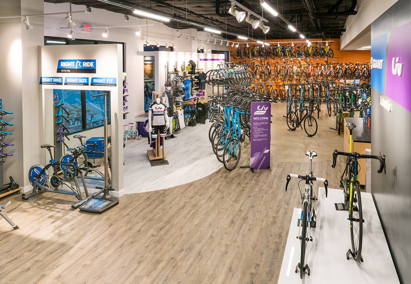 Giant Bicycles Flower Mound Best Flower Site