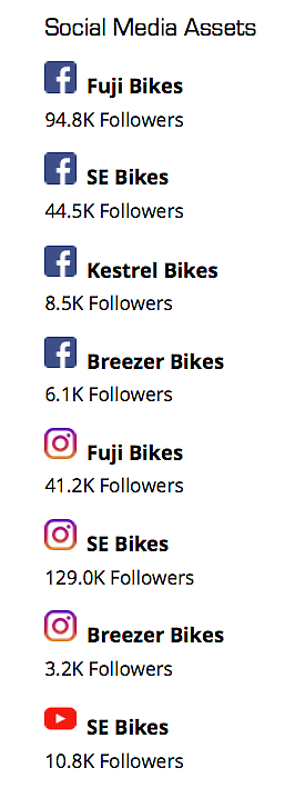 se bikes bankrupt