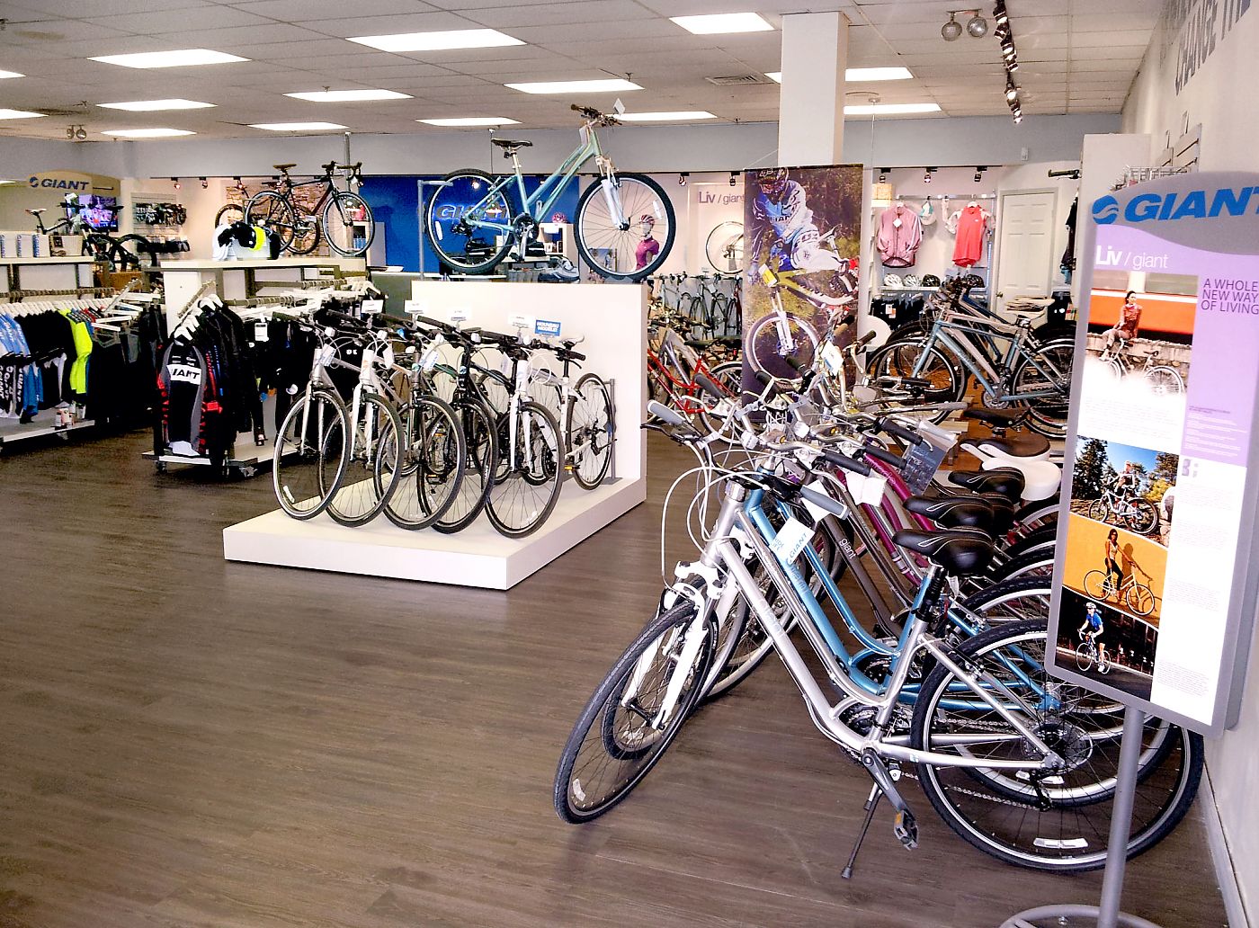 giant bike shops