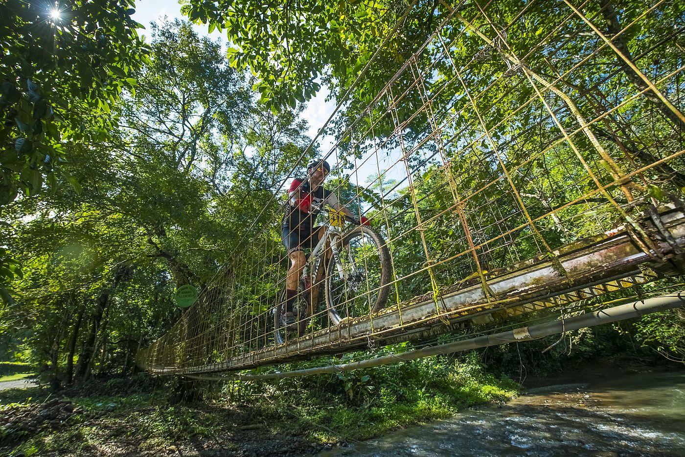 la ruta race