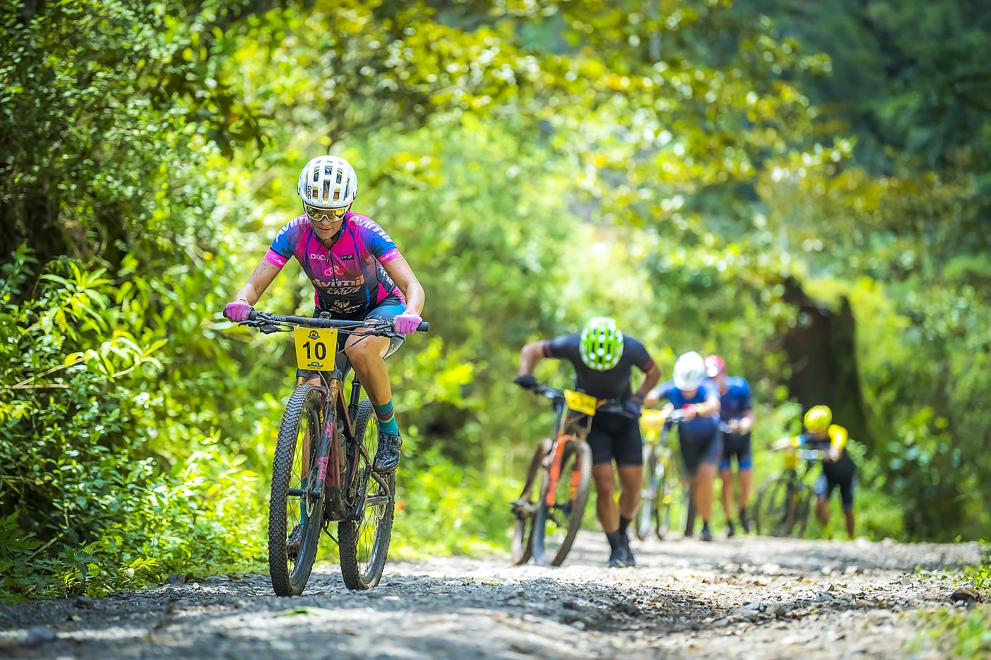 la ruta race