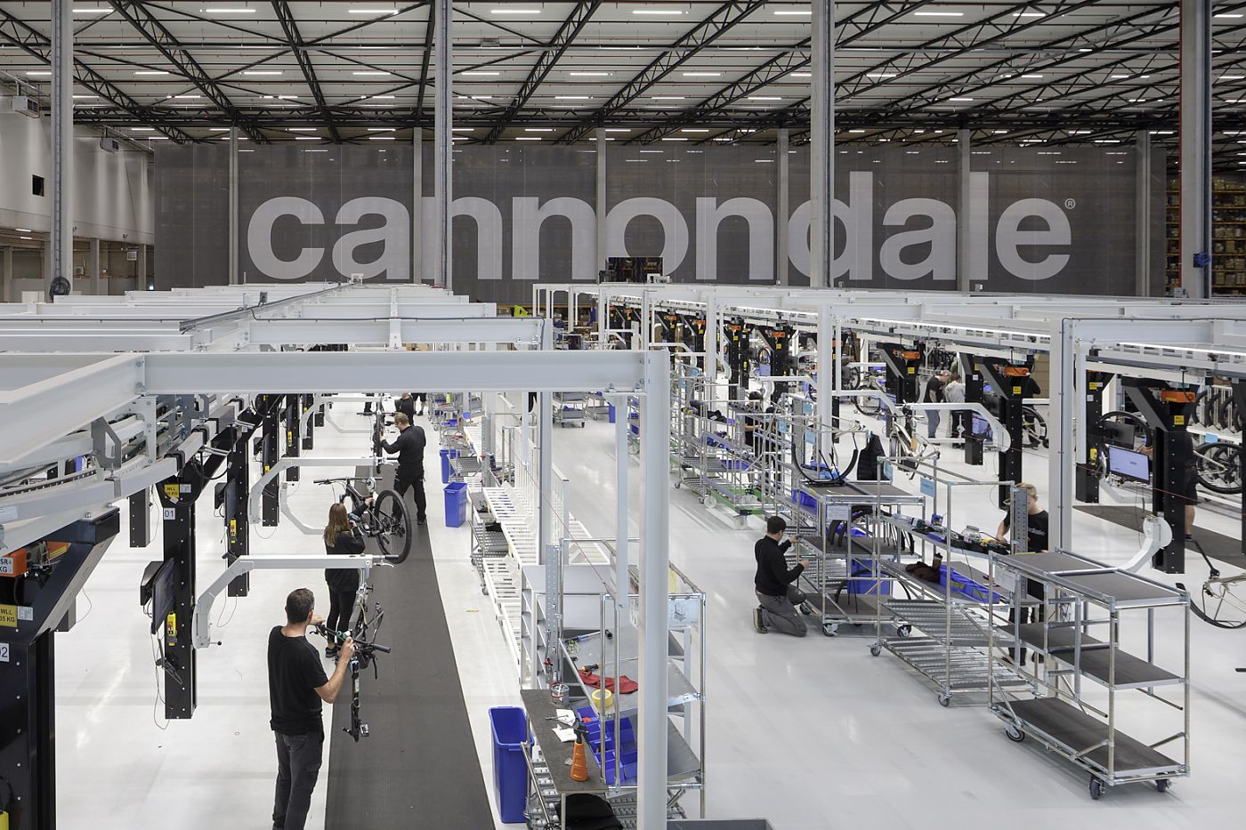 Csg cannondale on sale