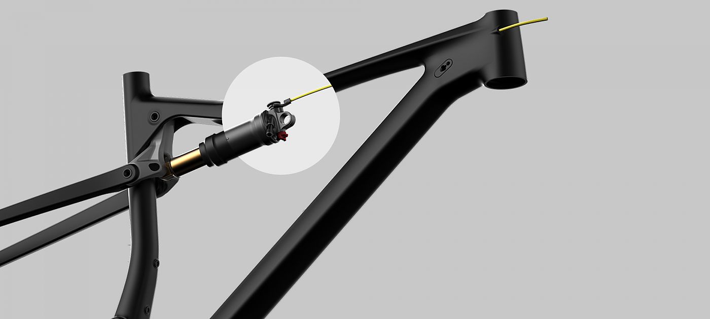 Orbea canyon online
