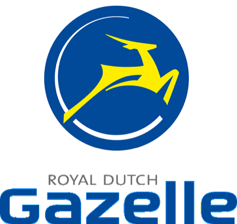Royal dutch best sale gazelle bikes