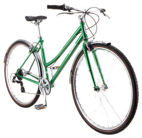 Schwinn dealer online