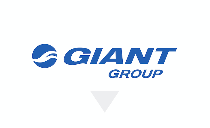 Giant manufacturing hotsell
