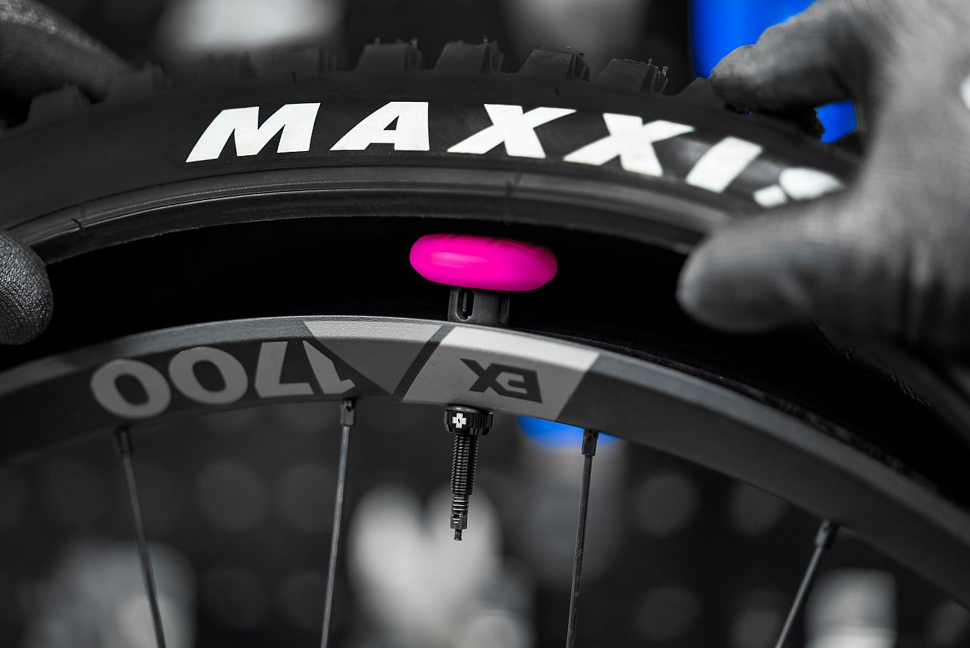 Inside of sales a bike tire