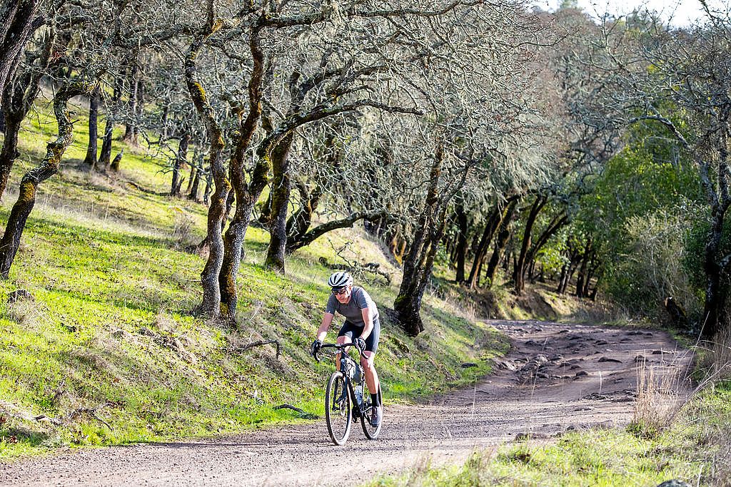 Consumer direct top mountain bikes