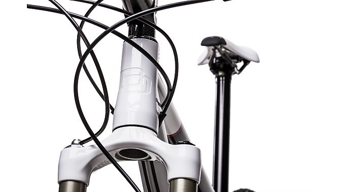 The titanium bike features an engraved headtube. 
