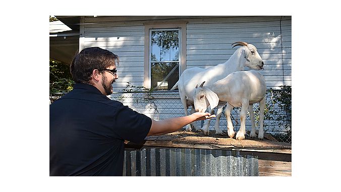 Derek Goltz of Dealer Tour sponsor Finish Line feeds one of Charlotte Cycles' three goats who keep the grass low in a lot adjacent to the store.