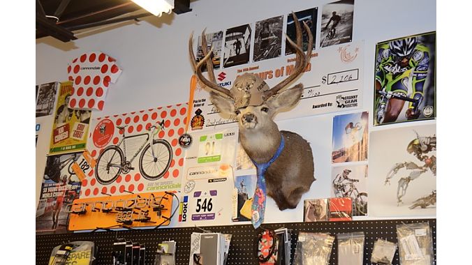 No shop dogs sighted on day one, but Infinite Bicycles had a well-dressed mascot.