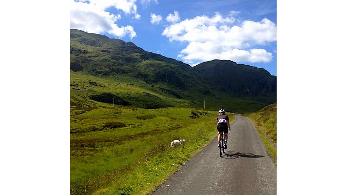 Liv's Amanda Schaper admires the sheep and the scenery on day one.