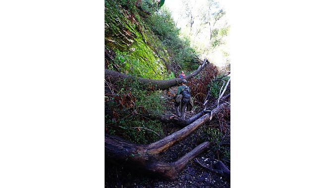 Volunteers survey damage to the Gabrieleno Trail during a 2016 scouting hike.