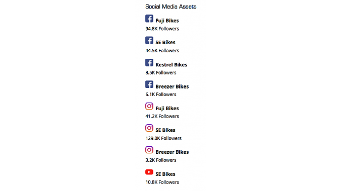 ASE's social media assets. Source: Hilco Streambank.