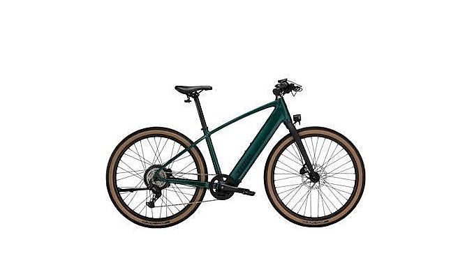 Trek FX+ 1 Stepover.