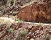 Cyclists on the Burr Trail last year. Photo by Meg McMahon.