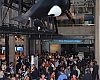 IBD Summit and Bicycle Leadership Conference attendees got a private view of the Monterey Bay Aquarium on Wednesday night during a joint cocktail reception and dinner for the two events.