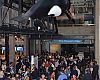 IBD Summit and Bicycle Leadership Conference attendees got a private view of the Monterey Bay Aquarium on Wednesday night during a joint cocktail reception and dinner for the two events.