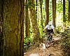 Retailers tested Kona's 2016 MTB line on classic Pacific Northwest trails