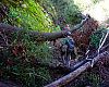 Volunteers survey damage to the Gabrieleno Trail during a 2016 scouting hike.