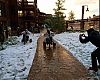 The Flip Cup finalists duke it out on big wheels while getting pelted by snowballs. Protective gear provided by Kali.