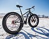 Reeb is launching its new fat bike in time for Global Fat Bike Day.