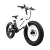 The EB-6 is a youth fat-tire e-bike. The EB-6 is a youth fat e-bike.