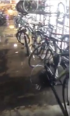 iCycle Bike Shop suffered a few inches of water damage. 